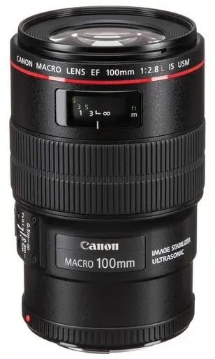 Canon 100mm f/2.8L IS Macro Lens