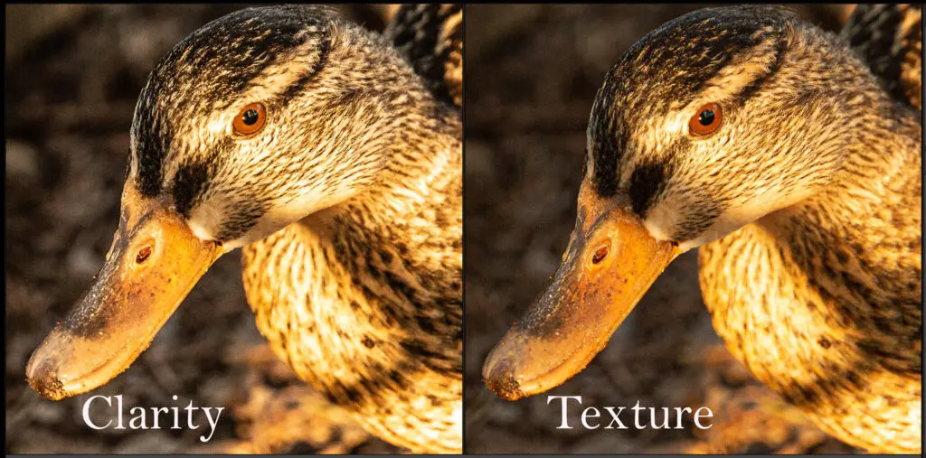 Adjust Clarity for Texture