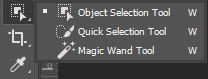 Using the Quick Selection Tool