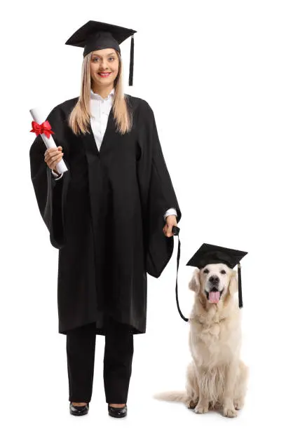 Graduation Pet Companion