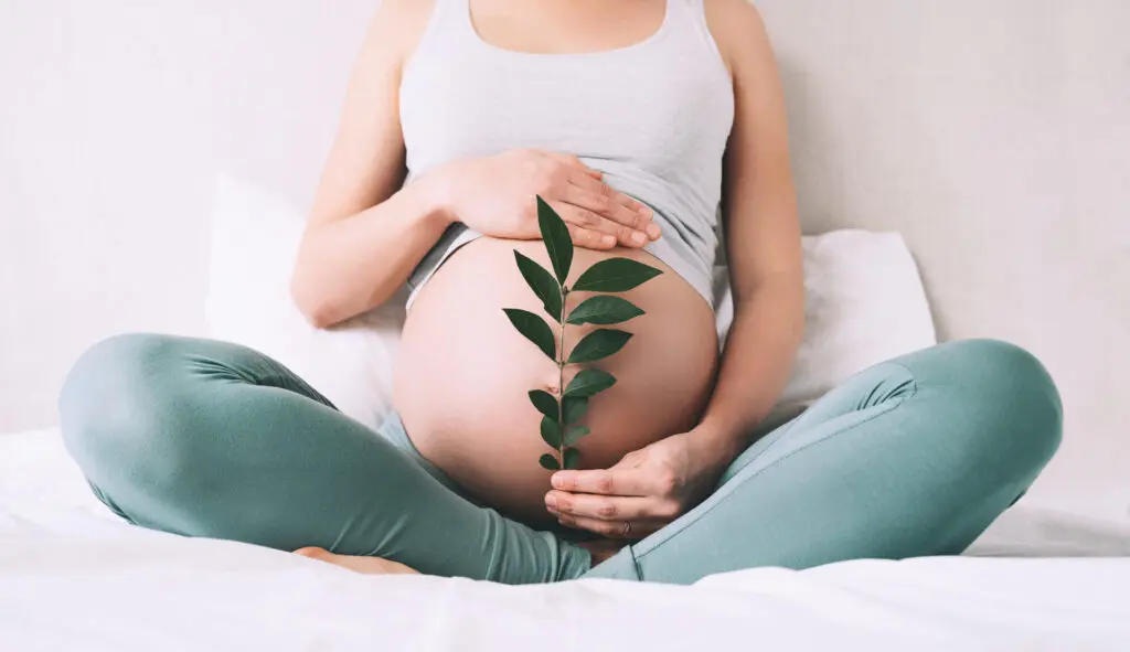 a pregnant woman holding a leaf on her belly